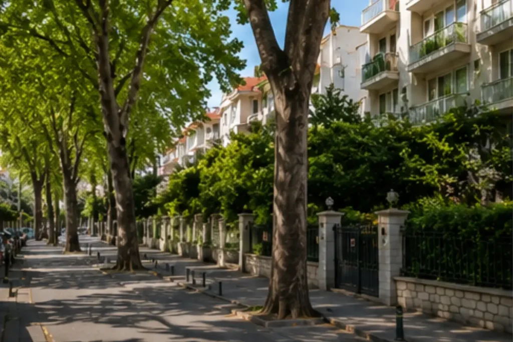 Göztepe Mahallesi, Kadıköy İstanbul